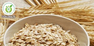 Ăn bao nhiêu yến mạch 1 ngày? Ăn bao nhiêu yến mạch 1 ngày?