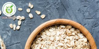 Có nên ăn yến mạch thay cơm? Có nên ăn yến mạch thay cơm?