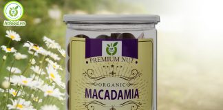 Hạt macadamia mua ở đâu? Địa chỉ nơi bán buôn bán lẻ hạt macadamia