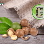 Hạt mắc ca: “Báu vật dinh dưỡng” cho mẹ bầu và thai nhi!