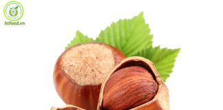 Hạt phỉ là gì? | Tìm hiểu chi tiết về hạt phỉ từ A đến Z