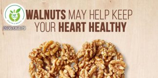 Mua hạt óc chó Mỹ ở đâu Hà Nội? Mua hạt óc chó Mỹ ở đâu Hà Nội?