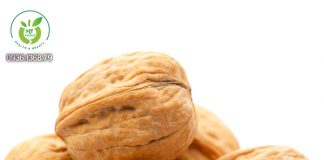 Mua quả óc chó Mỹ ở đâu Nghệ An? Mua quả óc chó Mỹ ở đâu Nghệ An?