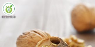 Mua quả óc chó ở đâu tại TpHCM? Mua quả óc chó ở đâu tại TpHCM?