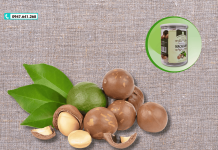 Quả mắc ca bao nhiêu tiền 1kg? – Cập nhật giá mắc ca mới nhất!