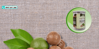 Quả mắc ca bao nhiêu tiền 1kg? – Cập nhật giá mắc ca mới nhất!