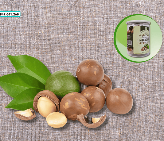 Quả mắc ca bao nhiêu tiền 1kg? – Cập nhật giá mắc ca mới nhất!