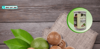 Quả mắc ca mua ở đâu? Giải đáp & địa chỉ mua uy tín!