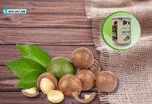 Quả mắc ca – “Nữ hoàng của các loại hạt” mua ở đâu tại Hà Nội?