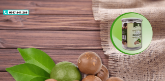 Quả mắc ca – “Nữ hoàng của các loại hạt” mua ở đâu tại Hà Nội?