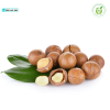 Quả mắc ca - Hình ảnh 2