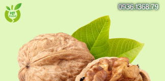 5 loại hạt có tác dụng chống lão hóa tốt nhất