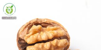 Quả óc chó Mỹ mua ở đâu Biên Hòa Đồng Nai? Quả óc chó Mỹ mua ở đâu Biên Hòa Đồng Nai?