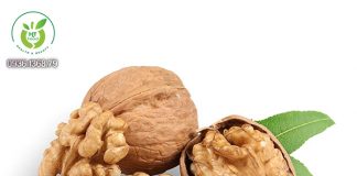 Mua quả óc chó Mỹ ở đâu Nam Định? Mua quả óc chó Mỹ ở đâu Nam Định?