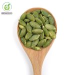 Tác dụng của hạt bí xanh là gì? Tác dụng của hạt bí xanh là gì?