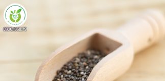 Tác dụng của hạt chia Úc Tác dụng của hạt chia Úc