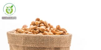 Tác dụng của hạt điều là gì? Tác dụng của hạt điều là gì?