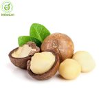 Tác dụng của hạt mắc ca là gì? Tác dụng của hạt macca là gì?