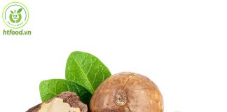 Tác dụng của hạt mắc ca là gì? Tác dụng của hạt macca là gì?