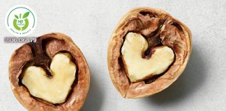 Tác dụng của quả óc chó với bà bầu Tác dụng của quả óc chó với bà bầu