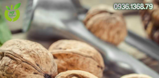 Quả óc chó mua ở đâu tại Lâm Đồng uy tín – giá rẻ nhất?