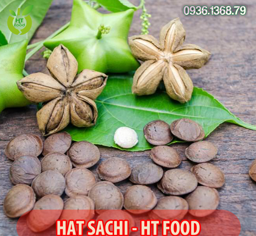 Mua hạt sachi ở đâu tại Tphcm Chất lượng nhất