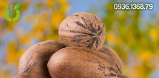 Quả hồ đào mua ở đâu tốt?