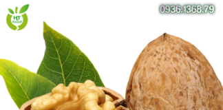 Quả óc chó là quả gì ?