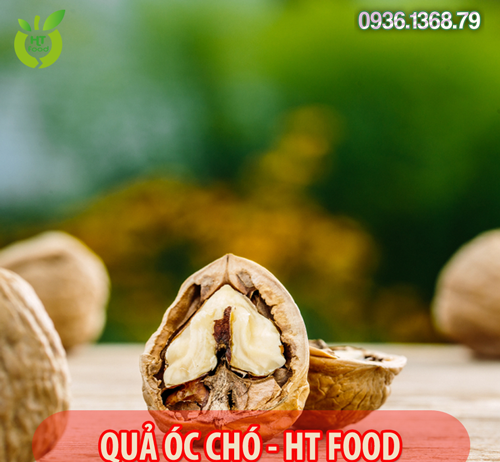 Quả óc chó mua ở đâu tại Bình Định uy tín – giá rẻ nhất?