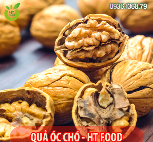 Quả óc chó mua ở đâu tại Đồng Tháp uy tín – giá rẻ nhất?