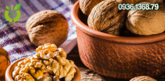 Quả óc chó mua ở đâu tại Hà Giang uy tín – giá rẻ nhất?