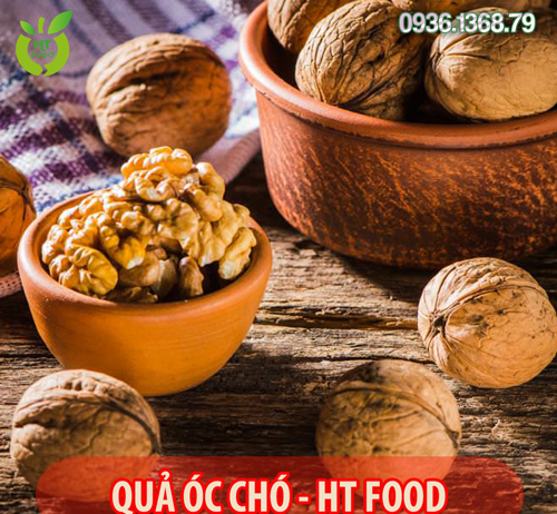 Quả óc chó mua ở đâu tại Hà Giang uy tín – giá rẻ nhất?