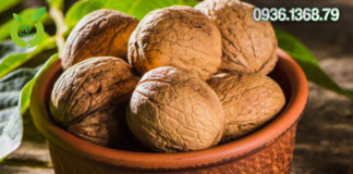 Quả óc chó mua ở đâu tại Khánh Hòa uy tín giá rẻ nhất?