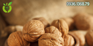 Quả óc chó mua ở đâu tại Hòa Bình uy tín – giá rẻ nhất?