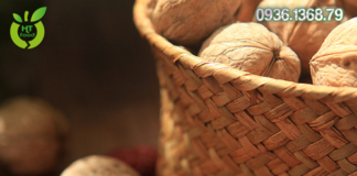 Tác dụng của quả óc chó