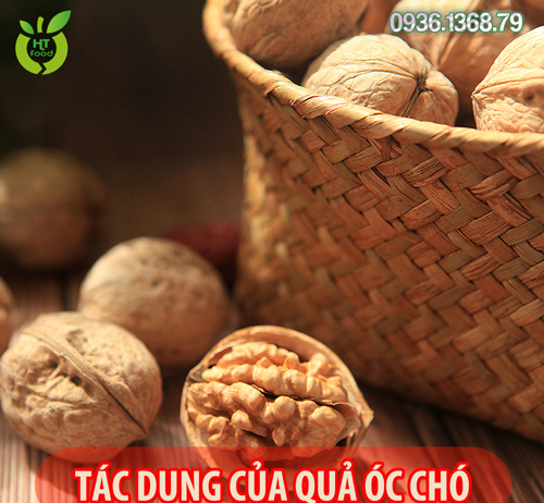 Tác dụng của quả óc chó